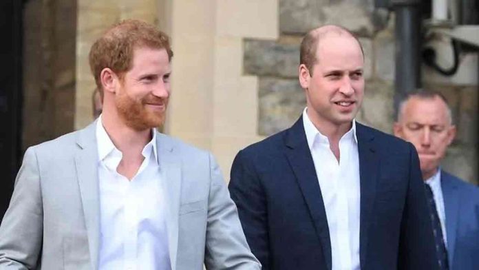 Prince harry and prince william britain